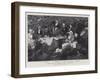 A Picnic Party Near Blackcraig Castle, September 1893-null-Framed Giclee Print
