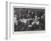 A Picnic Party Near Blackcraig Castle, September 1893-null-Framed Giclee Print