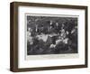 A Picnic Party Near Blackcraig Castle, September 1893-null-Framed Giclee Print