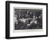 A Picnic Party Near Blackcraig Castle, September 1893-null-Framed Giclee Print