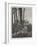A Picnic-Richard Caton Woodville II-Framed Giclee Print