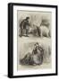 A Pictorial Charade-null-Framed Giclee Print