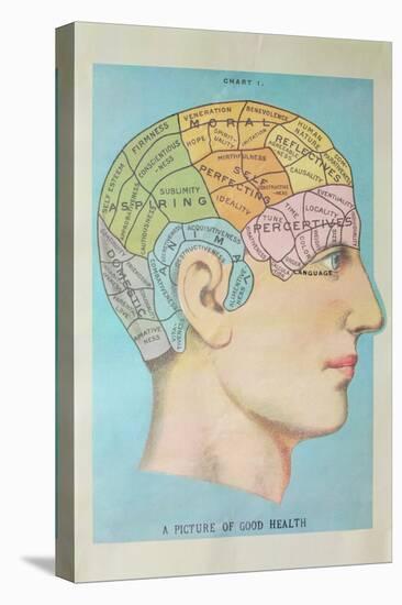 A Picture of Good Health - Vintage Cognitive Science Lithograph-Lantern Press-Stretched Canvas