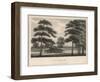 A Picturesque View of Clapham Common-null-Framed Art Print