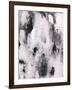 A Piebald Thought-Joshua Schicker-Framed Giclee Print