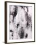 A Piebald Thought-Joshua Schicker-Framed Giclee Print