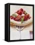 A Piece of Berry Pizza (Yeast Cake with Berries)-Eising Studio - Food Photo and Video-Framed Stretched Canvas