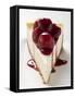 A Piece of Cheesecake with Cherry Sauce-null-Framed Stretched Canvas