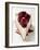 A Piece of Cheesecake with Cherry Sauce-null-Framed Photographic Print