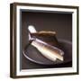 A Piece of Chocolate Caramel Tart-Michael Paul-Framed Photographic Print