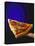 A Piece of Ham and Salami Pizza on Server-null-Stretched Canvas