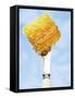 A Piece of Honeycomb on a Knife-Marc O^ Finley-Framed Stretched Canvas