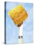 A Piece of Honeycomb on a Knife-Marc O^ Finley-Stretched Canvas