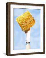 A Piece of Honeycomb on a Knife-Marc O^ Finley-Framed Photographic Print