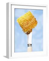 A Piece of Honeycomb on a Knife-Marc O^ Finley-Framed Photographic Print