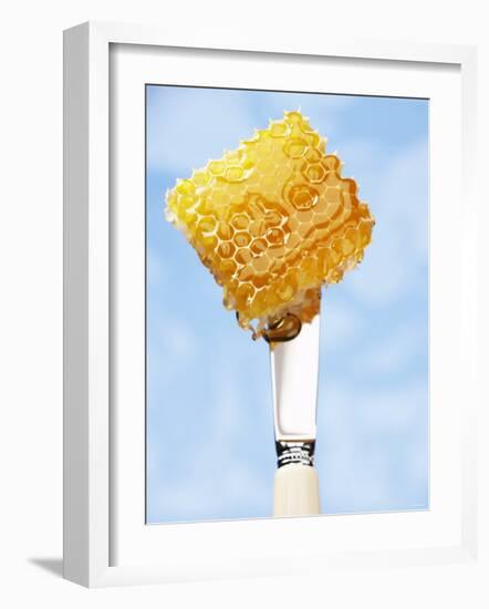 A Piece of Honeycomb on a Knife-Marc O^ Finley-Framed Photographic Print