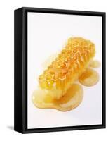 A Piece of Honeycomb-Marc O^ Finley-Framed Stretched Canvas