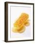 A Piece of Honeycomb-Marc O^ Finley-Framed Photographic Print