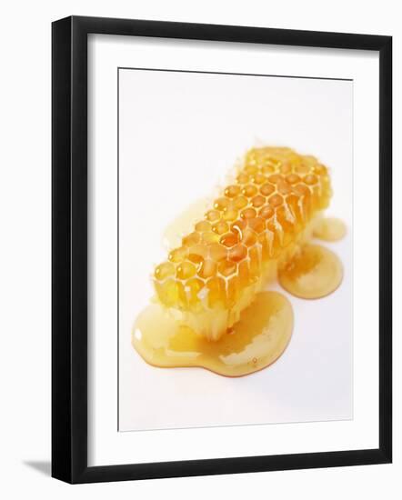 A Piece of Honeycomb-Marc O^ Finley-Framed Photographic Print