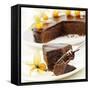 A Piece of Sacher Torte with Physalis-Frank Wieder-Framed Stretched Canvas