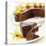 A Piece of Sacher Torte with Physalis-Frank Wieder-Stretched Canvas