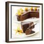 A Piece of Sacher Torte with Physalis-Frank Wieder-Framed Photographic Print
