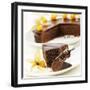 A Piece of Sacher Torte with Physalis-Frank Wieder-Framed Photographic Print