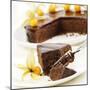A Piece of Sacher Torte with Physalis-Frank Wieder-Mounted Photographic Print