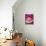 A Piece of Watermelon-Sara Jones-Photographic Print displayed on a wall