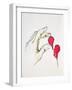 A Piece of Your Heart, 1996-Stevie Taylor-Framed Giclee Print