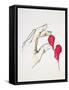 A Piece of Your Heart, 1996-Stevie Taylor-Framed Stretched Canvas