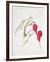 A Piece of Your Heart, 1996-Stevie Taylor-Framed Giclee Print