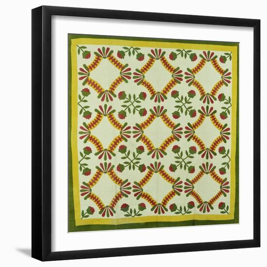 A Pieced and Appliqued Cotton Quilted Coverlet, North Carolina, circa 1850-null-Framed Giclee Print