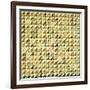 A Pieced Cotton Quilted Coverlet, American, Mid 19th Century-null-Framed Giclee Print