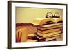 A Pile of Books and a Pair of Eyeglasses in an Old Suitcase, with a Retro Effect-nito-Framed Photographic Print
