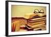 A Pile of Books and a Pair of Eyeglasses in an Old Suitcase, with a Retro Effect-nito-Framed Photographic Print