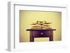 A Pile of Books and a Pair of Eyeglasses on a Desk, Symbolizing the Concept of Reading Habit or Stu-nito-Framed Photographic Print