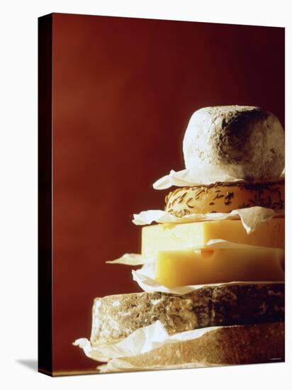 A Pile of Pieces of Different Cheeses-Tim Thiel-Stretched Canvas