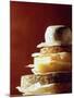 A Pile of Pieces of Different Cheeses-Tim Thiel-Mounted Photographic Print