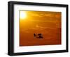 A Pilot Flies a Small Plane Past the Setting Sun Over Lake Winnipesaukee-null-Framed Photographic Print