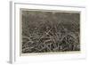 A Pine-Apple Field Near Nassau, Bahamas-null-Framed Giclee Print