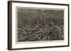 A Pine-Apple Field Near Nassau, Bahamas-null-Framed Giclee Print