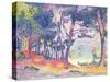 A Pine Grove, 1906-Henri Edmond Cross-Stretched Canvas
