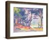 A Pine Grove, 1906-Henri Edmond Cross-Framed Giclee Print