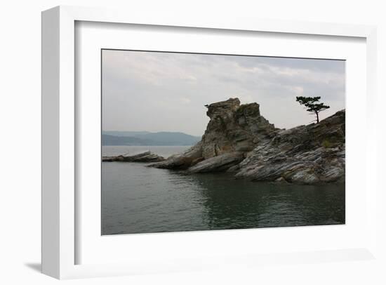 A Pine Tree at Wakaura Port in Japan-Ryuji Adachi-Framed Art Print