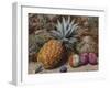 A Pineapple, a Peach and Plums on a Mossy Bank-John Sherrin-Framed Giclee Print