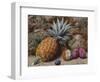 A Pineapple, a Peach and Plums on a Mossy Bank-John Sherrin-Framed Giclee Print