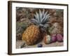 A Pineapple, a Peach and Plums on a Mossy Bank-John Sherrin-Framed Giclee Print