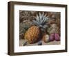 A Pineapple, a Peach and Plums on a Mossy Bank-John Sherrin-Framed Giclee Print