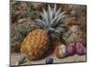 A Pineapple, a Peach and Plums on a Mossy Bank-John Sherrin-Mounted Giclee Print